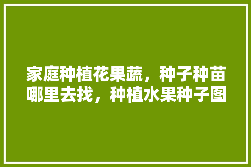 家庭种植花果蔬，种子种苗哪里去找，种植水果种子图片大全。 家庭种植花果蔬，种子种苗哪里去找，种植水果种子图片大全。 家禽养殖