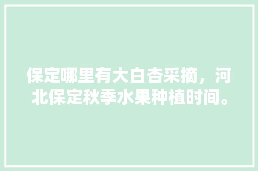 保定哪里有大白杏采摘，河北保定秋季水果种植时间。 保定哪里有大白杏采摘，河北保定秋季水果种植时间。 蔬菜种植