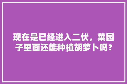 现在是已经进入二伏，菜园子里面还能种植胡萝卜吗？种植胡萝卜需要注意哪些，水果胡萝卜种植时间和方法。 现在是已经进入二伏，菜园子里面还能种植胡萝卜吗？种植胡萝卜需要注意哪些，水果胡萝卜种植时间和方法。 土壤施肥