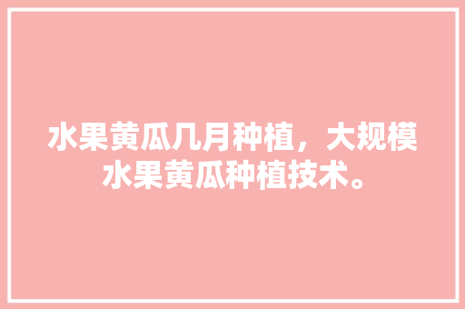 水果黄瓜几月种植，大规模水果黄瓜种植技术。 水果黄瓜几月种植，大规模水果黄瓜种植技术。 畜牧养殖