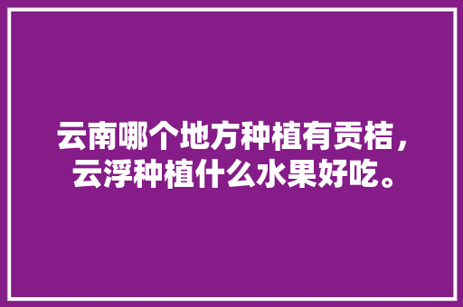 云南哪个地方种植有贡桔，云浮种植什么水果好吃。 云南哪个地方种植有贡桔，云浮种植什么水果好吃。 水果种植