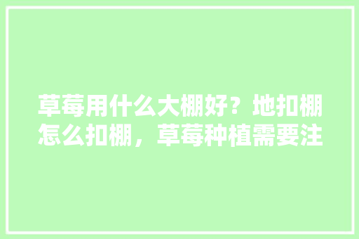 草莓用什么大棚好？地扣棚怎么扣棚，草莓种植需要注意哪些问题，什么水果套好种植呢。 草莓用什么大棚好？地扣棚怎么扣棚，草莓种植需要注意哪些问题，什么水果套好种植呢。 蔬菜种植