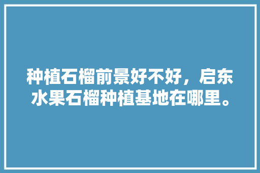 种植石榴前景好不好，启东水果石榴种植基地在哪里。 种植石榴前景好不好，启东水果石榴种植基地在哪里。 畜牧养殖