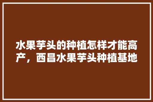 水果芋头的种植怎样才能高产，西昌水果芋头种植基地在哪里。 水果芋头的种植怎样才能高产，西昌水果芋头种植基地在哪里。 家禽养殖