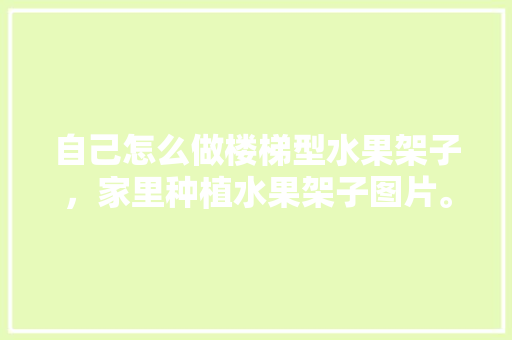 自己怎么做楼梯型水果架子，家里种植水果架子图片。 自己怎么做楼梯型水果架子，家里种植水果架子图片。 土壤施肥