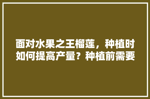 面对水果之王榴莲，种植时如何提高产量？种植前需要进行准备吗，高档水果种植技术有哪些。 面对水果之王榴莲，种植时如何提高产量？种植前需要进行准备吗，高档水果种植技术有哪些。 水果种植