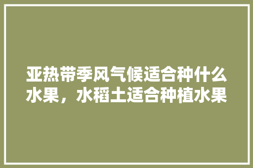 亚热带季风气候适合种什么水果，水稻土适合种植水果吗。 亚热带季风气候适合种什么水果，水稻土适合种植水果吗。 土壤施肥