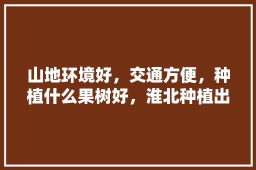 山地环境好，交通方便，种植什么果树好，淮北种植出优质水果的地方。 山地环境好，交通方便，种植什么果树好，淮北种植出优质水果的地方。 蔬菜种植