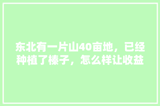 东北有一片山40亩地，已经种植了榛子，怎么样让收益最大化，桑葚水果种植方法视频教程。 东北有一片山40亩地，已经种植了榛子，怎么样让收益最大化，桑葚水果种植方法视频教程。 畜牧养殖