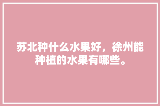 苏北种什么水果好，徐州能种植的水果有哪些。 苏北种什么水果好，徐州能种植的水果有哪些。 家禽养殖