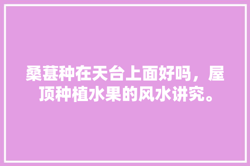 桑葚种在天台上面好吗，屋顶种植水果的风水讲究。 桑葚种在天台上面好吗，屋顶种植水果的风水讲究。 水果种植