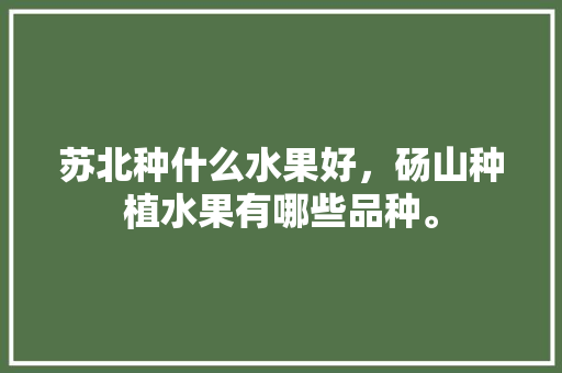 苏北种什么水果好，砀山种植水果有哪些品种。 苏北种什么水果好，砀山种植水果有哪些品种。 水果种植