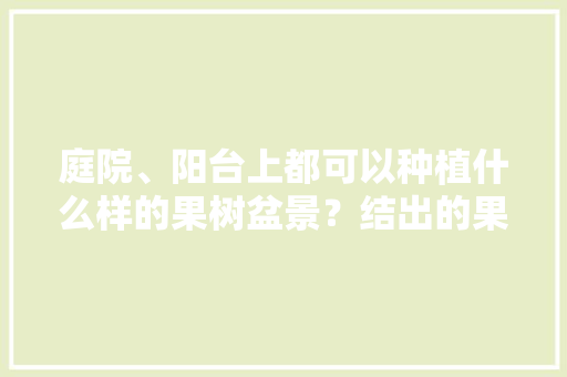 庭院、阳台上都可以种植什么样的果树盆景？结出的果能吃吗，盆栽阳台种植水果可以吗图片。 庭院、阳台上都可以种植什么样的果树盆景？结出的果能吃吗，盆栽阳台种植水果可以吗图片。 畜牧养殖