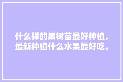 什么样的果树苗最好种植，最新种植什么水果最好吃。 什么样的果树苗最好种植，最新种植什么水果最好吃。 水果种植