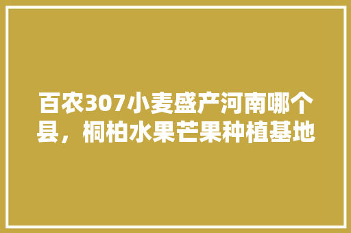 百农307小麦盛产河南哪个县，桐柏水果芒果种植基地在哪里。 百农307小麦盛产河南哪个县，桐柏水果芒果种植基地在哪里。 蔬菜种植