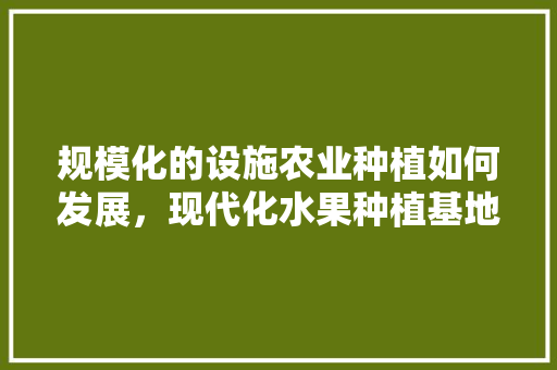 规模化的设施农业种植如何发展，现代化水果种植基地。 规模化的设施农业种植如何发展，现代化水果种植基地。 水果种植