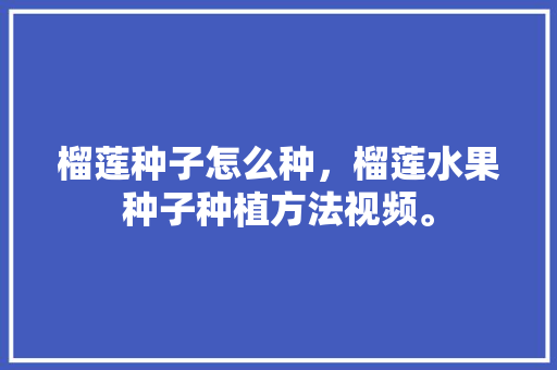 榴莲种子怎么种，榴莲水果种子种植方法视频。 榴莲种子怎么种，榴莲水果种子种植方法视频。 土壤施肥