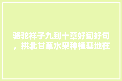 骆驼祥子九到十章好词好句，拱北甘草水果种植基地在哪里。 骆驼祥子九到十章好词好句，拱北甘草水果种植基地在哪里。 蔬菜种植