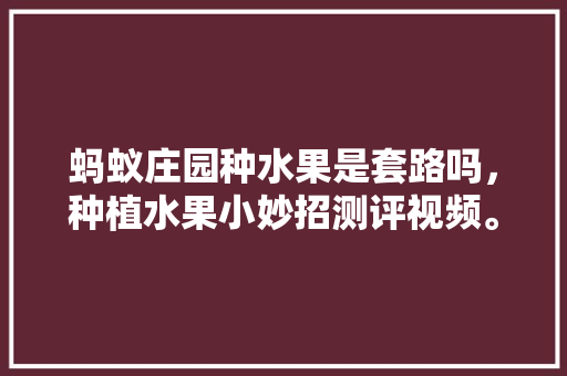 蚂蚁庄园种水果是套路吗，种植水果小妙招测评视频。 蚂蚁庄园种水果是套路吗，种植水果小妙招测评视频。 家禽养殖