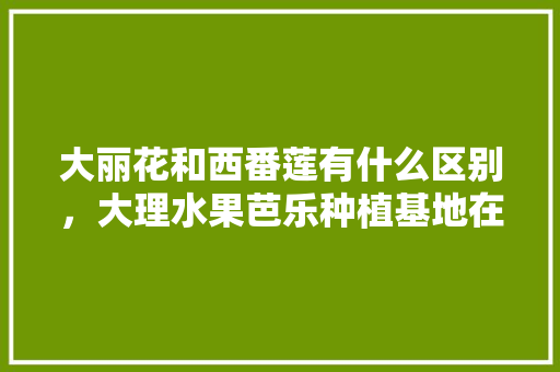 大丽花和西番莲有什么区别，大理水果芭乐种植基地在哪里。 大丽花和西番莲有什么区别，大理水果芭乐种植基地在哪里。 土壤施肥