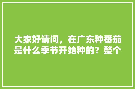 大家好请问，在广东种番茄是什么季节开始种的？整个生长期有多久？育苗期要多久？第一次采收是多少天，广东种植水果番茄时间表。 大家好请问，在广东种番茄是什么季节开始种的？整个生长期有多久？育苗期要多久？第一次采收是多少天，广东种植水果番茄时间表。 土壤施肥