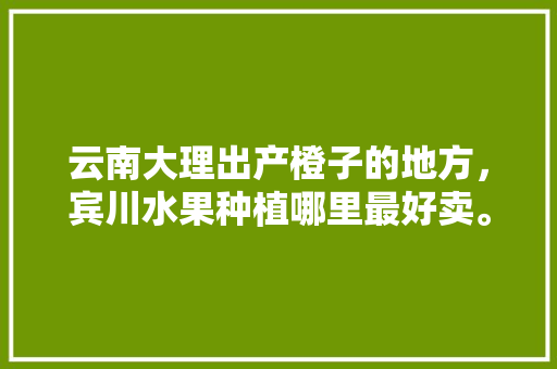 云南大理出产橙子的地方，宾川水果种植哪里最好卖。 云南大理出产橙子的地方，宾川水果种植哪里最好卖。 蔬菜种植