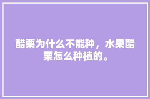 醋栗为什么不能种，水果醋栗怎么种植的。 醋栗为什么不能种，水果醋栗怎么种植的。 水果种植