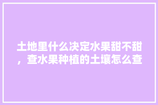 土地里什么决定水果甜不甜，查水果种植的土壤怎么查。 土地里什么决定水果甜不甜，查水果种植的土壤怎么查。 水果种植