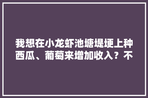 我想在小龙虾池塘堤埂上种西瓜、葡萄来增加收入？不知道可行不，水果种植高利润技巧。 我想在小龙虾池塘堤埂上种西瓜、葡萄来增加收入？不知道可行不，水果种植高利润技巧。 畜牧养殖