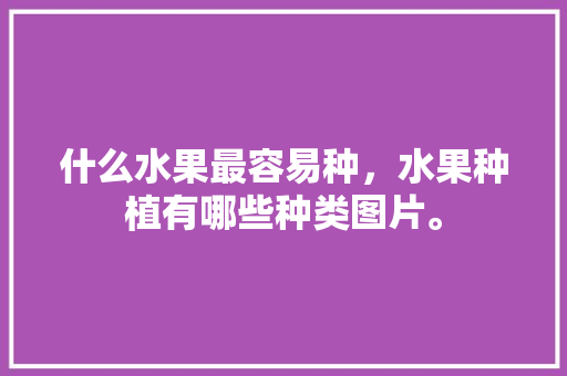 什么水果最容易种，水果种植有哪些种类图片。 什么水果最容易种，水果种植有哪些种类图片。 土壤施肥