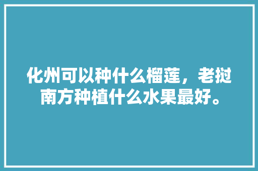 化州可以种什么榴莲，老挝南方种植什么水果最好。 化州可以种什么榴莲，老挝南方种植什么水果最好。 土壤施肥