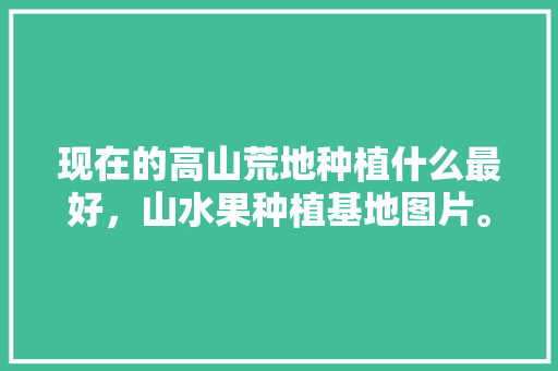 现在的高山荒地种植什么最好，山水果种植基地图片。 现在的高山荒地种植什么最好，山水果种植基地图片。 水果种植