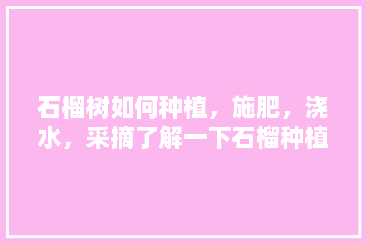 石榴树如何种植，施肥，浇水，采摘了解一下石榴种植，博兴水果石榴种植基地在哪里。 石榴树如何种植，施肥，浇水，采摘了解一下石榴种植，博兴水果石榴种植基地在哪里。 土壤施肥