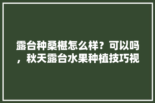 露台种桑椹怎么样？可以吗，秋天露台水果种植技巧视频。 露台种桑椹怎么样？可以吗，秋天露台水果种植技巧视频。 水果种植