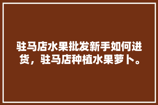 驻马店水果批发新手如何进货，驻马店种植水果萝卜。 驻马店水果批发新手如何进货，驻马店种植水果萝卜。 土壤施肥