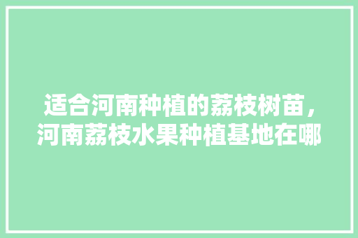 适合河南种植的荔枝树苗，河南荔枝水果种植基地在哪里。 适合河南种植的荔枝树苗，河南荔枝水果种植基地在哪里。 土壤施肥