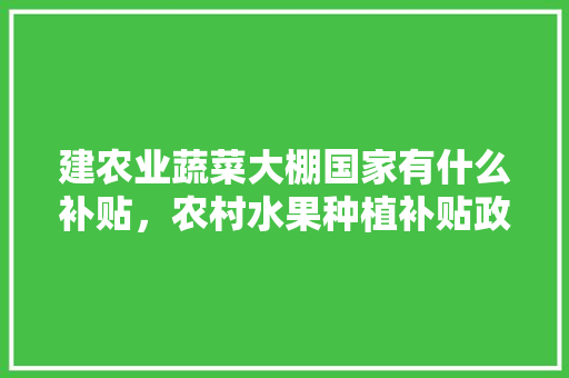 建农业蔬菜大棚国家有什么补贴，农村水果种植补贴政策。 建农业蔬菜大棚国家有什么补贴，农村水果种植补贴政策。 水果种植