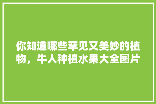 你知道哪些罕见又美妙的植物，牛人种植水果大全图片。 你知道哪些罕见又美妙的植物，牛人种植水果大全图片。 家禽养殖