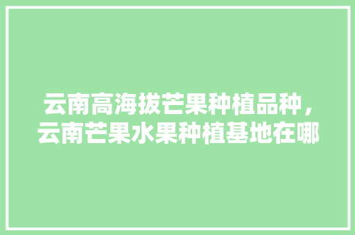 云南高海拔芒果种植品种，云南芒果水果种植基地在哪里。 云南高海拔芒果种植品种，云南芒果水果种植基地在哪里。 水果种植