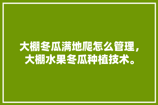 大棚冬瓜满地爬怎么管理，大棚水果冬瓜种植技术。 大棚冬瓜满地爬怎么管理，大棚水果冬瓜种植技术。 家禽养殖