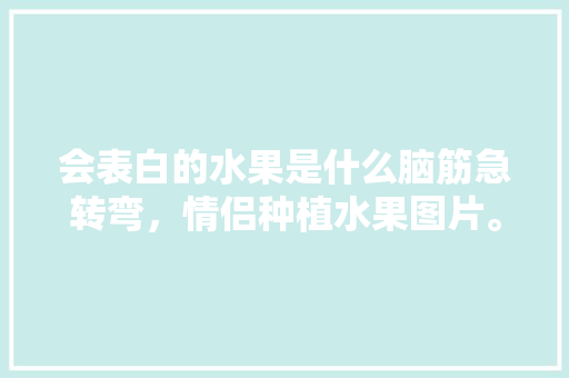 会表白的水果是什么脑筋急转弯，情侣种植水果图片。 会表白的水果是什么脑筋急转弯，情侣种植水果图片。 土壤施肥