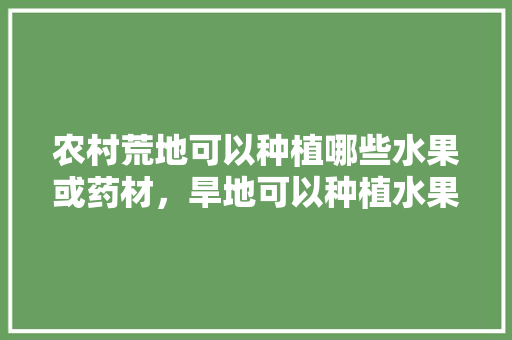 农村荒地可以种植哪些水果或药材，旱地可以种植水果吗视频。 农村荒地可以种植哪些水果或药材，旱地可以种植水果吗视频。 蔬菜种植