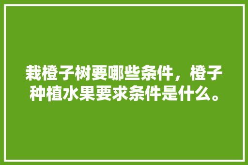 栽橙子树要哪些条件，橙子种植水果要求条件是什么。 栽橙子树要哪些条件，橙子种植水果要求条件是什么。 水果种植