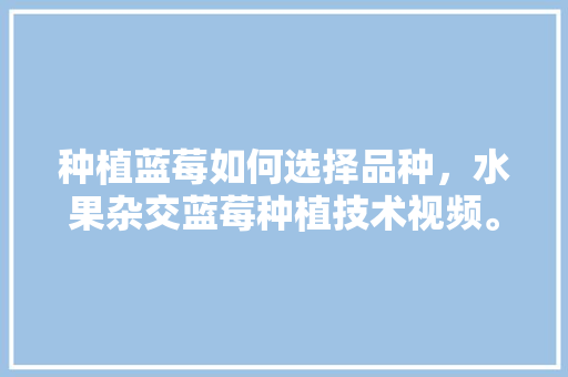 种植蓝莓如何选择品种，水果杂交蓝莓种植技术视频。 种植蓝莓如何选择品种，水果杂交蓝莓种植技术视频。 畜牧养殖