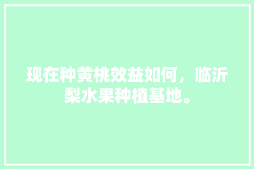 现在种黄桃效益如何，临沂梨水果种植基地。 现在种黄桃效益如何，临沂梨水果种植基地。 畜牧养殖