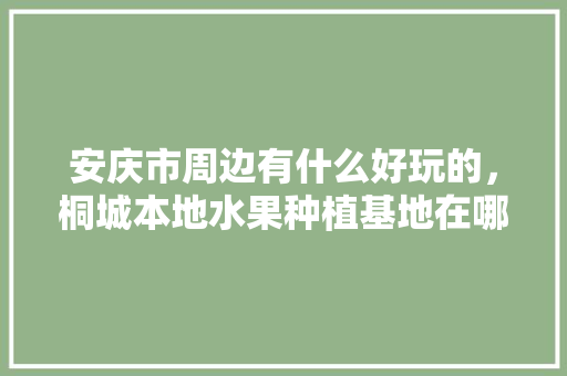 安庆市周边有什么好玩的，桐城本地水果种植基地在哪里。 安庆市周边有什么好玩的，桐城本地水果种植基地在哪里。 水果种植