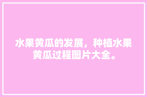 水果黄瓜的发展，种植水果黄瓜过程图片大全。 水果黄瓜的发展，种植水果黄瓜过程图片大全。 水果种植