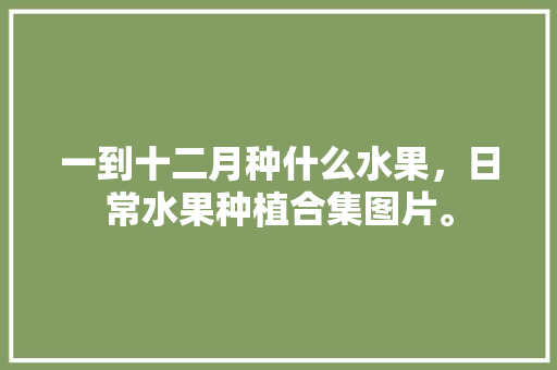 一到十二月种什么水果，日常水果种植合集图片。 一到十二月种什么水果，日常水果种植合集图片。 水果种植