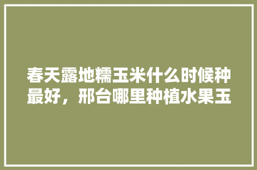 春天露地糯玉米什么时候种最好，邢台哪里种植水果玉米最多。 春天露地糯玉米什么时候种最好，邢台哪里种植水果玉米最多。 水果种植