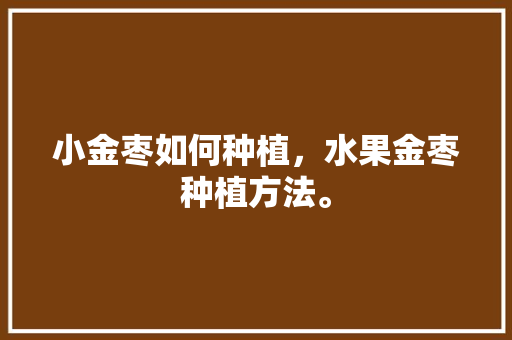 小金枣如何种植，水果金枣种植方法。 小金枣如何种植，水果金枣种植方法。 土壤施肥